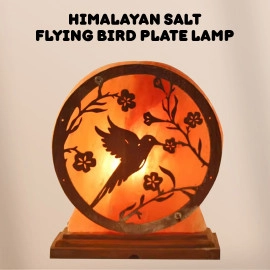 3D Himalayan Salt Hummingbirds Lamp