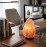 Himalayan Salt Ionizer Lamp
