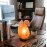 Serene Swan Himalayan Pink Salt Lamp