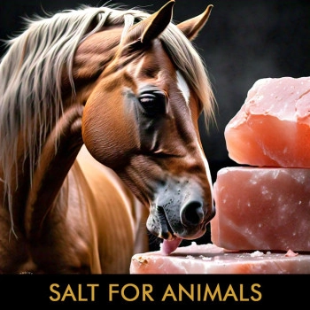 SALT FOR ANIMALS