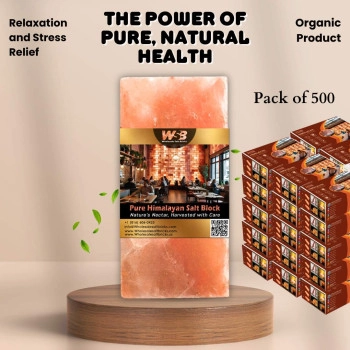 Himalayan Salt Bricks 8" x 4" x 2" - Pack of 500