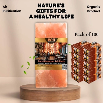 Himalayan Salt Bricks 8" x 4" x 1" - Pack of 100