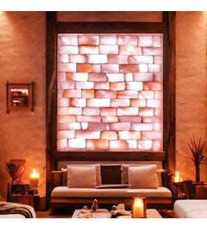 Himalayan Salt Bricks 8" x 4" x 2" - Pack of 50