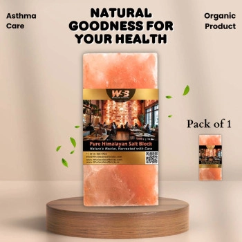 Himalayan Salt Bricks 8" x 4" x 2" - Pack of 1