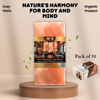 Himalayan Salt Bricks 8" x 4" x 2" - Pack of 10