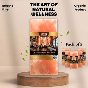 Himalayan Salt Bricks 8" x 4" x 2" - Pack of 5