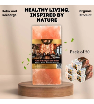 Himalayan Salt Bricks 8" x 4" x 2" - Pack of 50