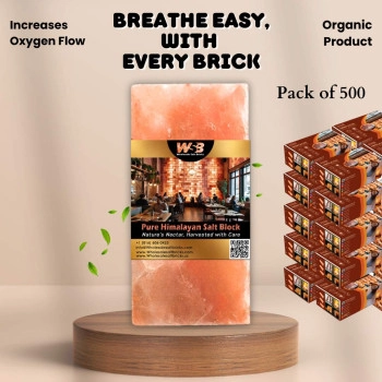 Himalayan Salt Bricks 8" x 4" x 1" - Pack of 500