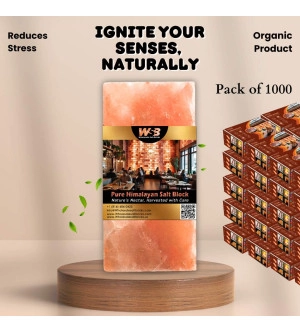 Himalayan Salt Bricks 8" x 4" x 1" - Pack of 1000