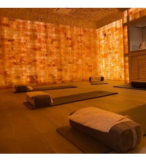 Himalayan Salt Bricks 8" x 4" x 1" - Pack of 1000