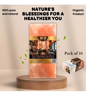 Himalayan Salt Bricks 8" x 4" x 1" - Pack of 10