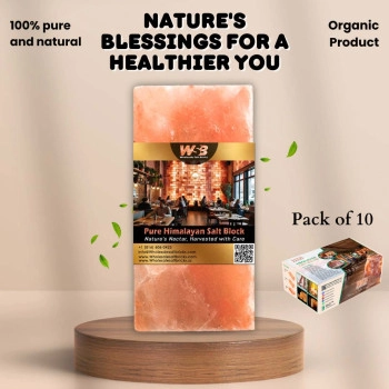 Himalayan Salt Bricks 8" x 4" x 1" - Pack of 10