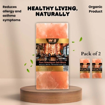 Himalayan Salt Bricks 8" x 4" x 1" - Pack of 2