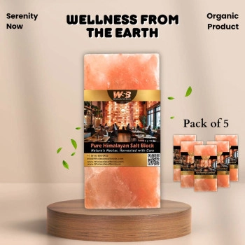 Himalayan Salt Bricks 8" x 4" x 1" - Pack of 5