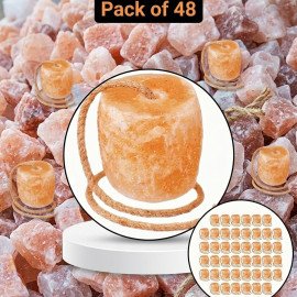 Himalayan Lick Salt Blocks Pack of 48 – Natural Mi..