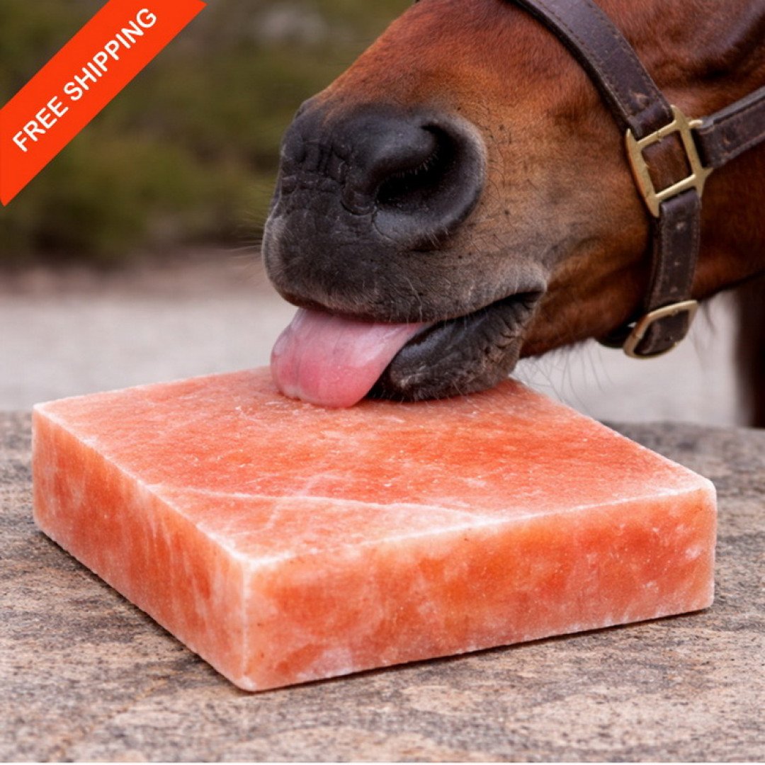 Pink Himalayan salt lick 8×8×2 | Salt Lick Block For Livestock Salt Block
