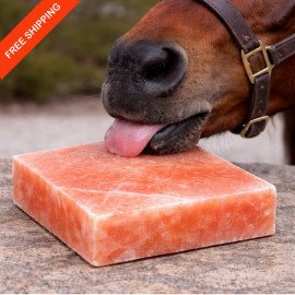 Pink Himalayan salt lick 8×8×2 | Salt Lick Block F..